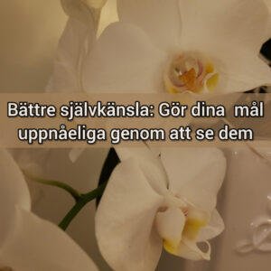 Bättre självkänsla: Gör dina mål uppnåeliga genom att se dem