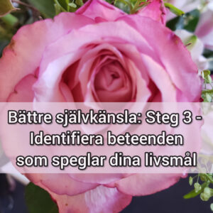 Bättre självkänsla: Steg 3 - Identifiera beteenden som speglar dina livsmål