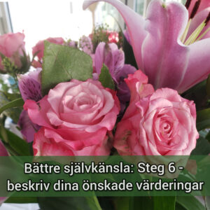 Bättre självkänsla: Steg 6 - Beskriv dina önskade värderingar