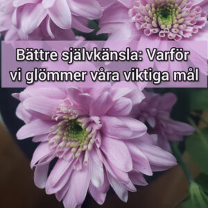 Bättre självkänsla: Varför vi glömmer våra viktiga mål