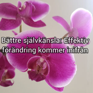 Bättre självkänsla: Effektiv förändring kommer inifrån